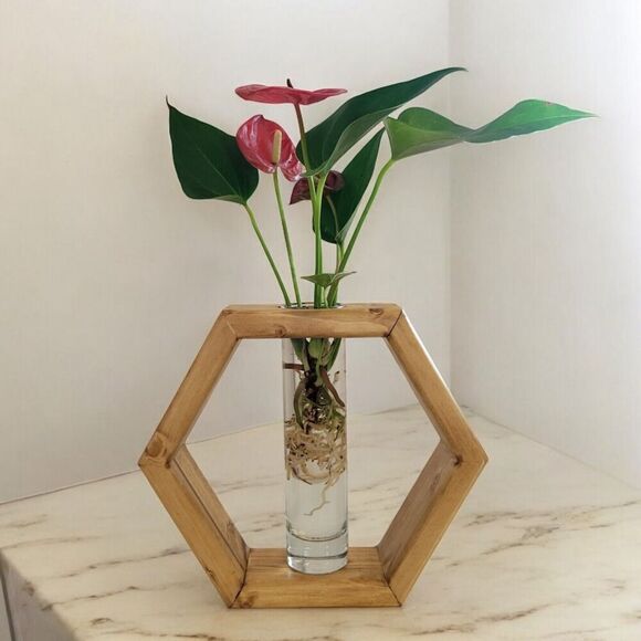 Wooden Hexagon Propagation Floral Vase Decor Centerpiece House Warming Gift - Picture 1 of 7